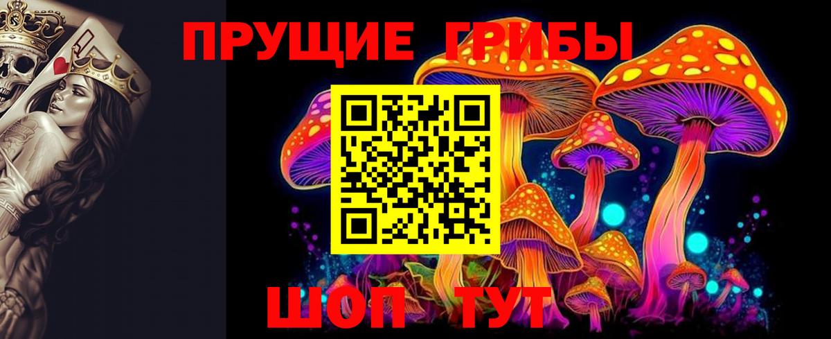 где можно купить наркотик  Галлюциногенные грибы Psilocybine cubensis  Вход с VPN  Жуковский 